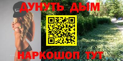 гидра Братск