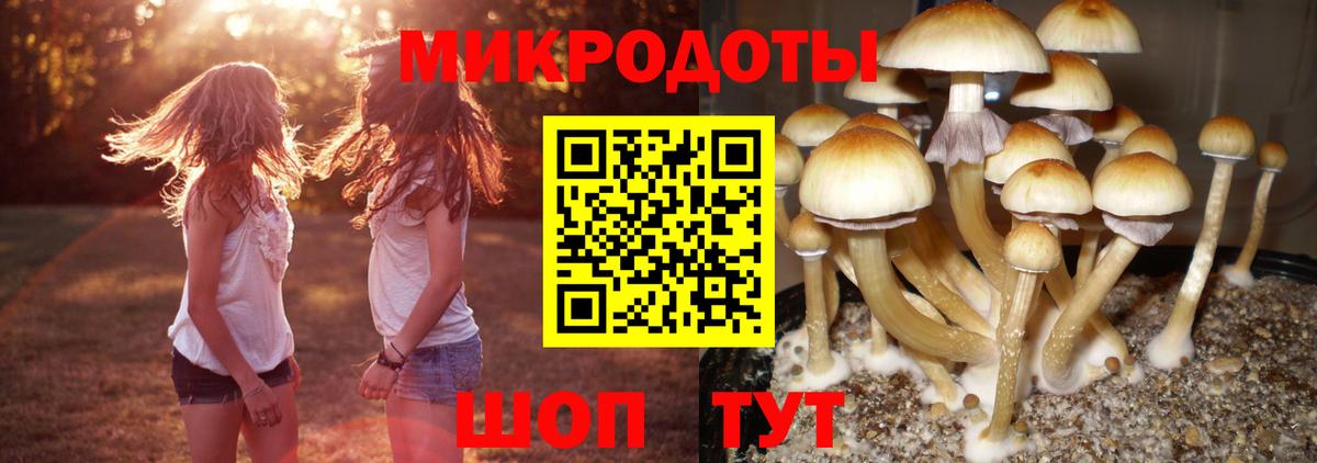 наркота  Вход с VPN  Белорецк  Псилоцибиновые грибы Cubensis 